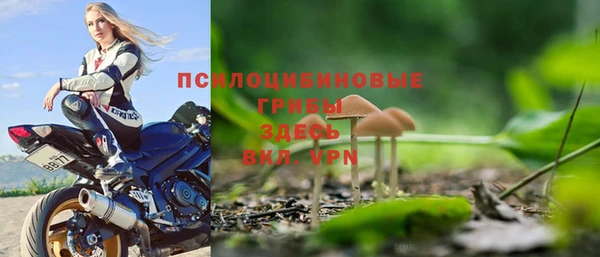 дживик Армянск